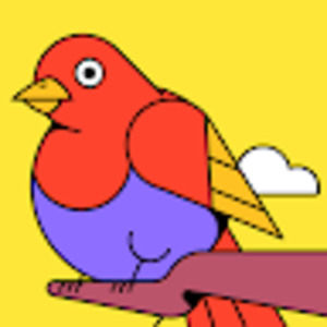 Meet your Posher, Anderson